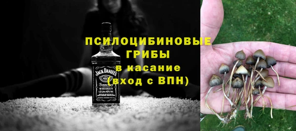 a pvp Арсеньев