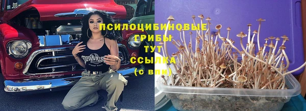 соль ск Аркадак
