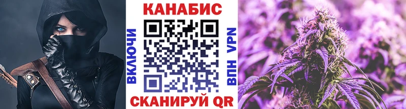 наркота  Касимов  Канабис сатива 
